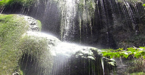 Featured image for “Marcy & Scottie were asked to share with Psychologists, Family Counselors and Social Workers via innovative website “Mending Minds,Minding Hearts.com” how they face adversity.”