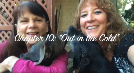 Featured image for “Episode 15 – Chapter 10 “Out in the Cold””